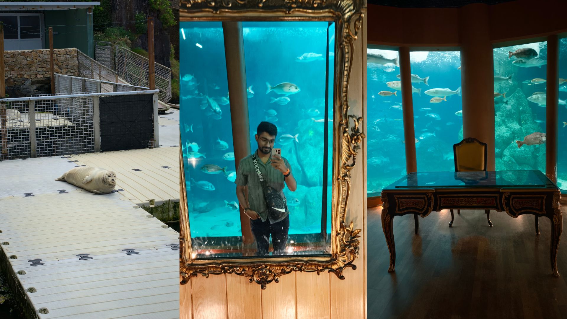 Aquarium image
